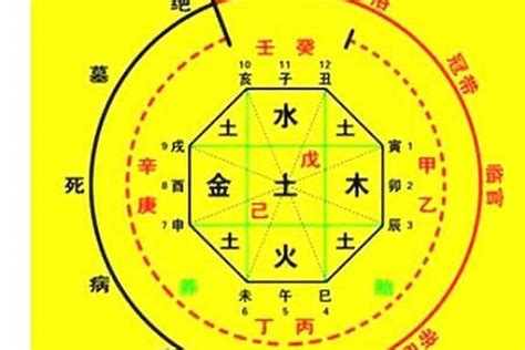 喜用神金|八字入门基础 第六篇 如何判断八字喜用神